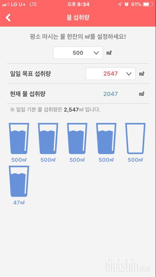 30일 하루 2L 물마시기 43일차 성공!