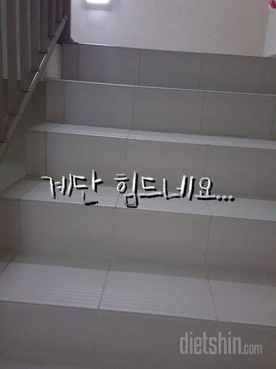 3일차 진행