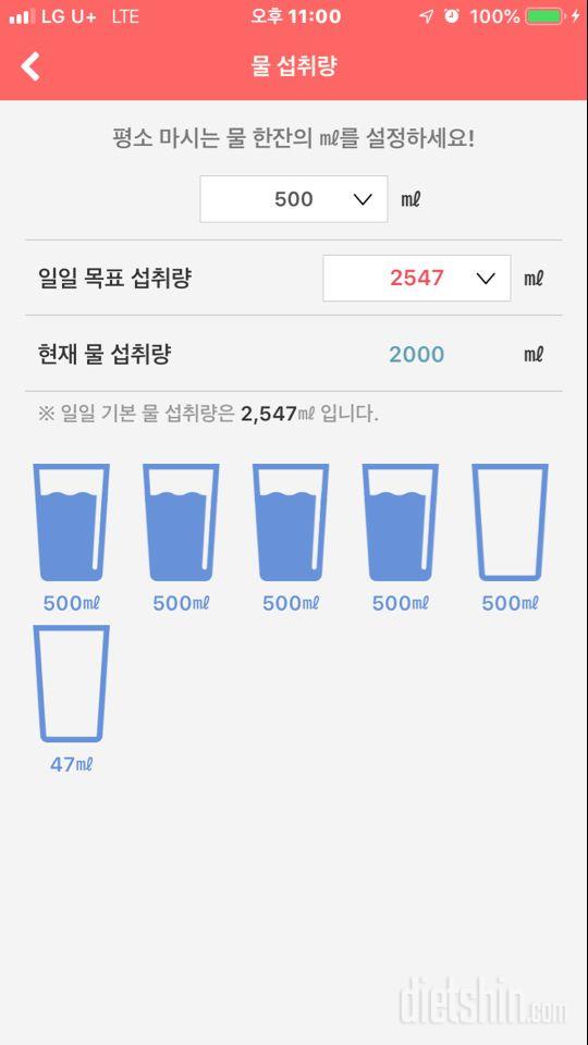 30일 하루 2L 물마시기 53일차 성공!