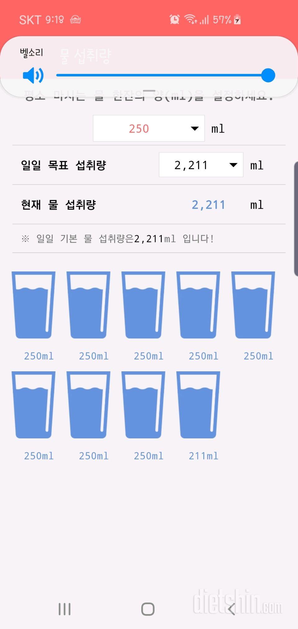 30일 하루 2L 물마시기 21일차 성공!