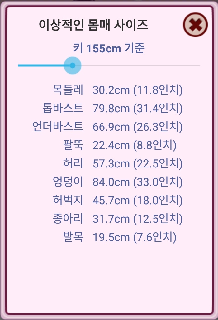 내가 보려고 올리는 이상적인 신체 사이즈