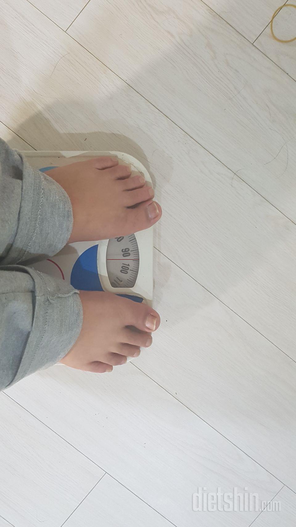 최종후기