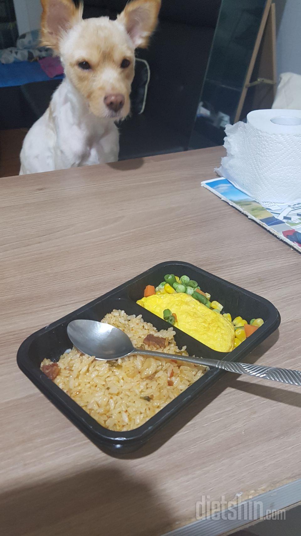 최종후기
