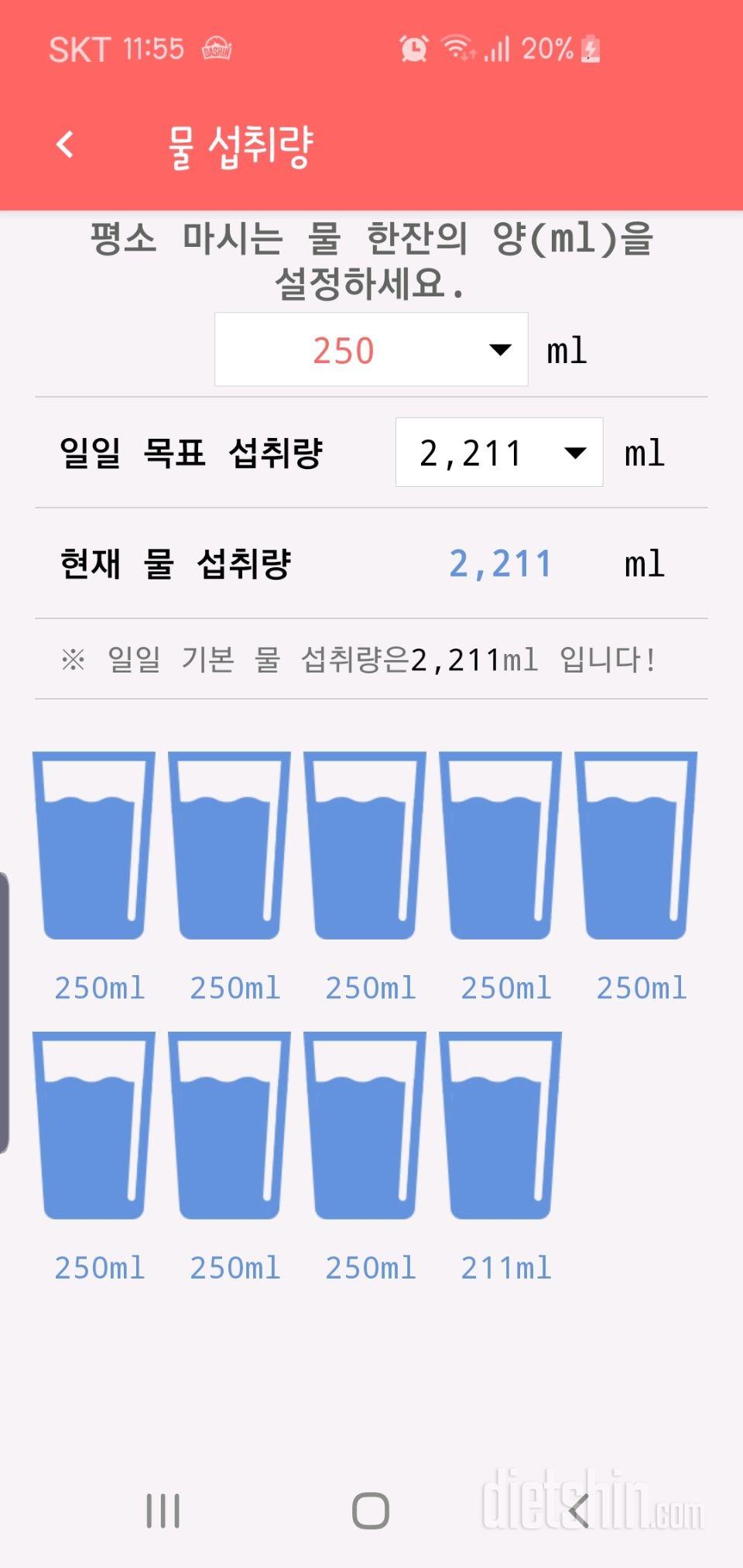 30일 하루 2L 물마시기 29일차 성공!