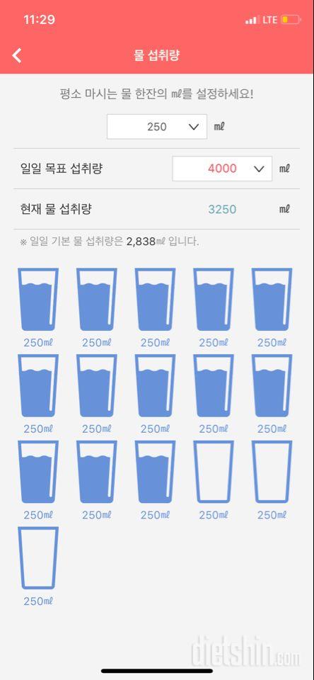 30일 하루 2L 물마시기 1일차 성공!