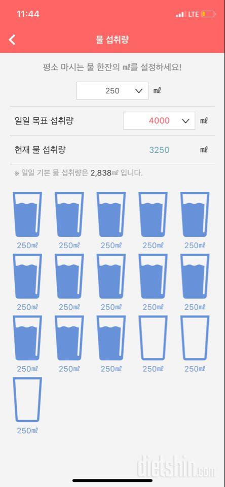 30일 하루 2L 물마시기 2일차 성공!