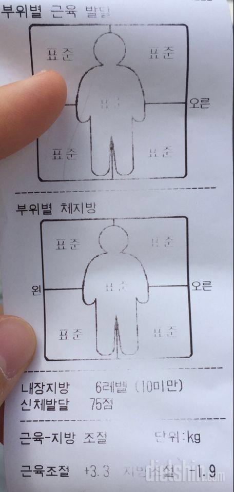 근력운동 질문