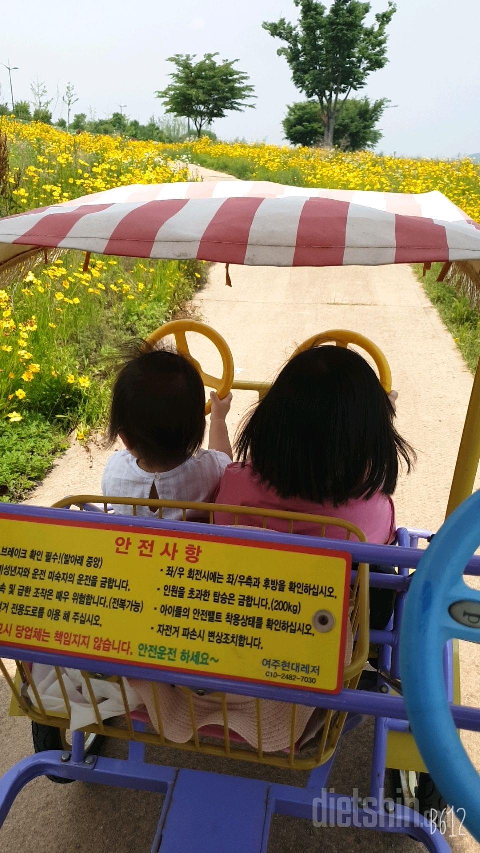 [다신 14기 운동미션 ]7일차