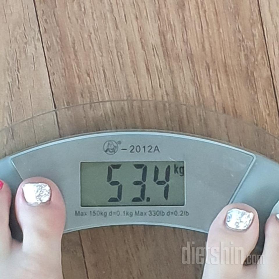 최종후기
