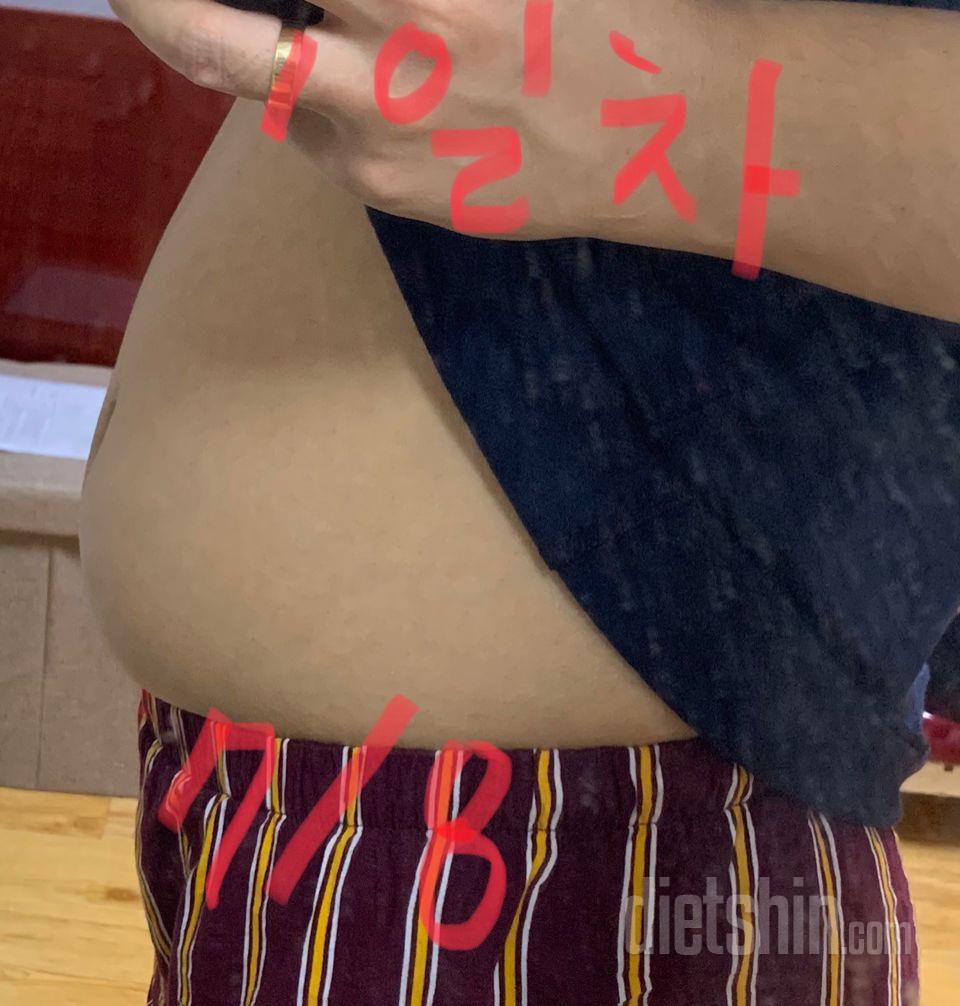 최종후기