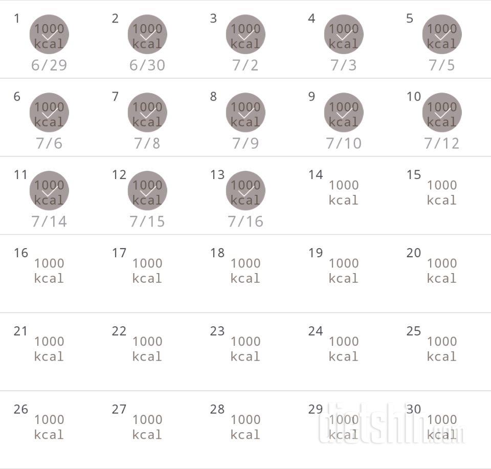 30일 1,000kcal 식단 13일차 성공!