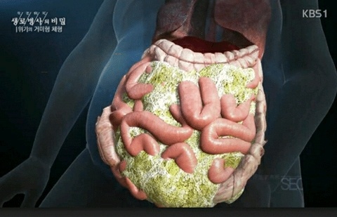 이것도 자극이 되려나요? 내장비만 사진