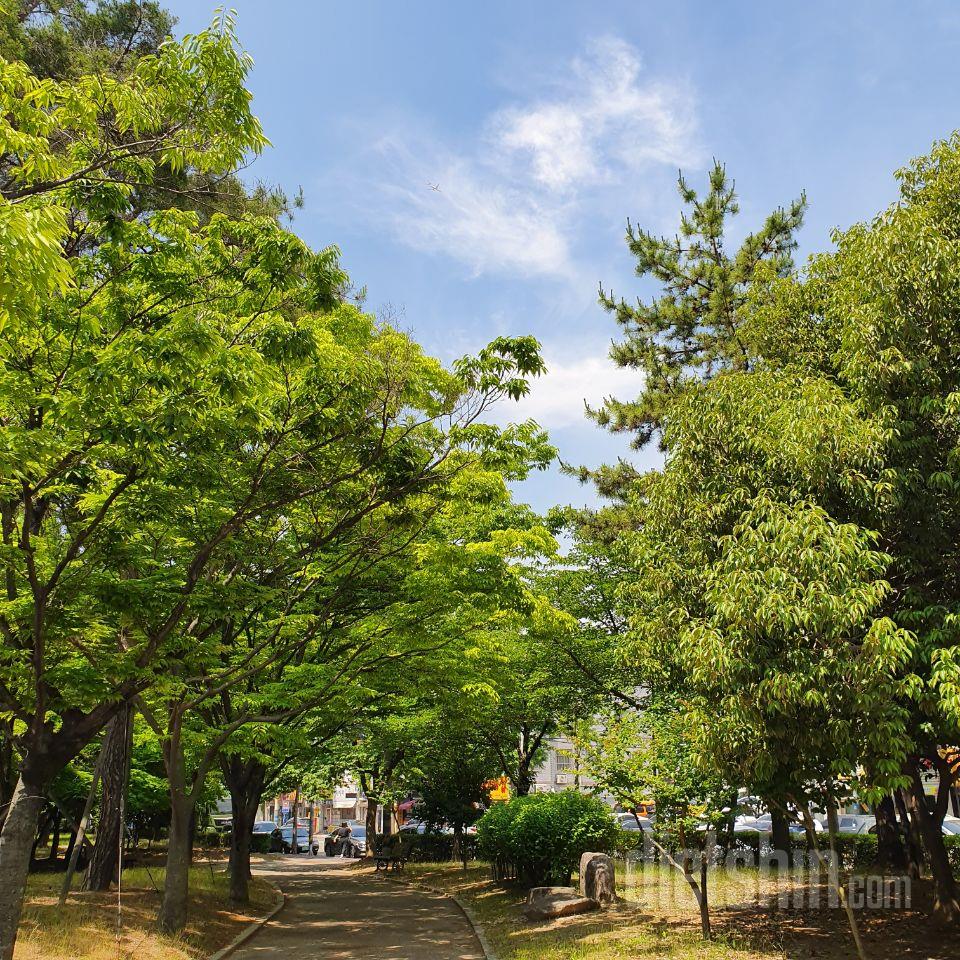 2일차 진행