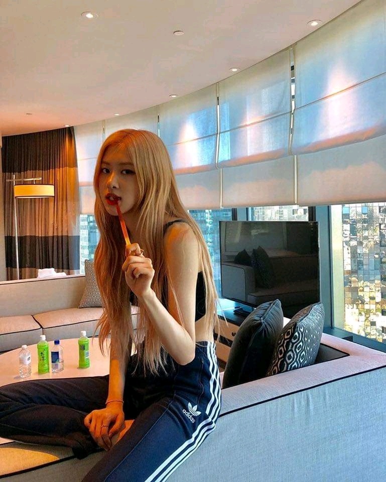 로제 다이어트 자극사진