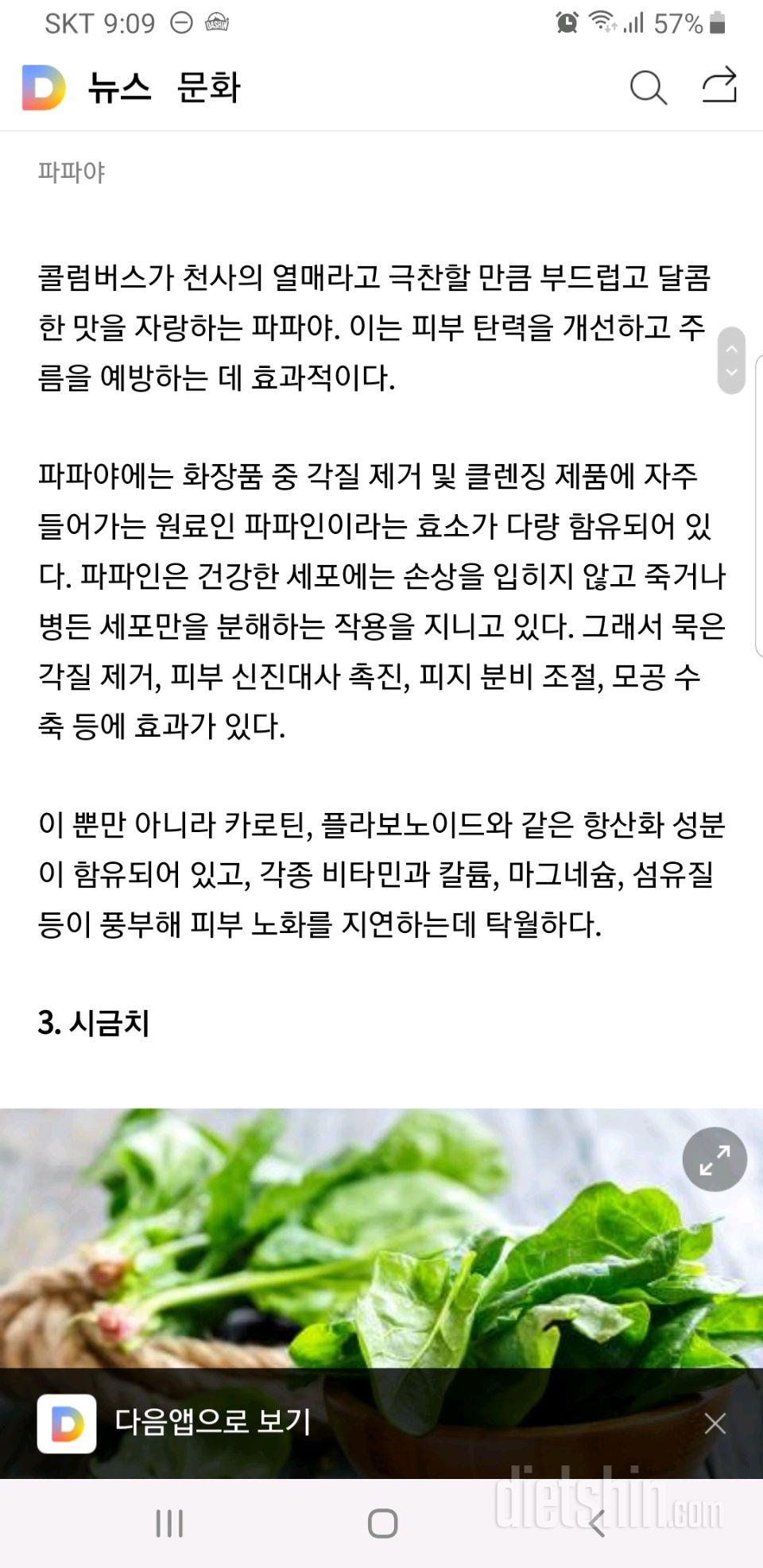 천연노화방지제, 피부가 좋아하는 식품5 🤗🥦🥑