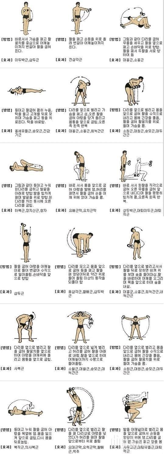 체중조절 3일차