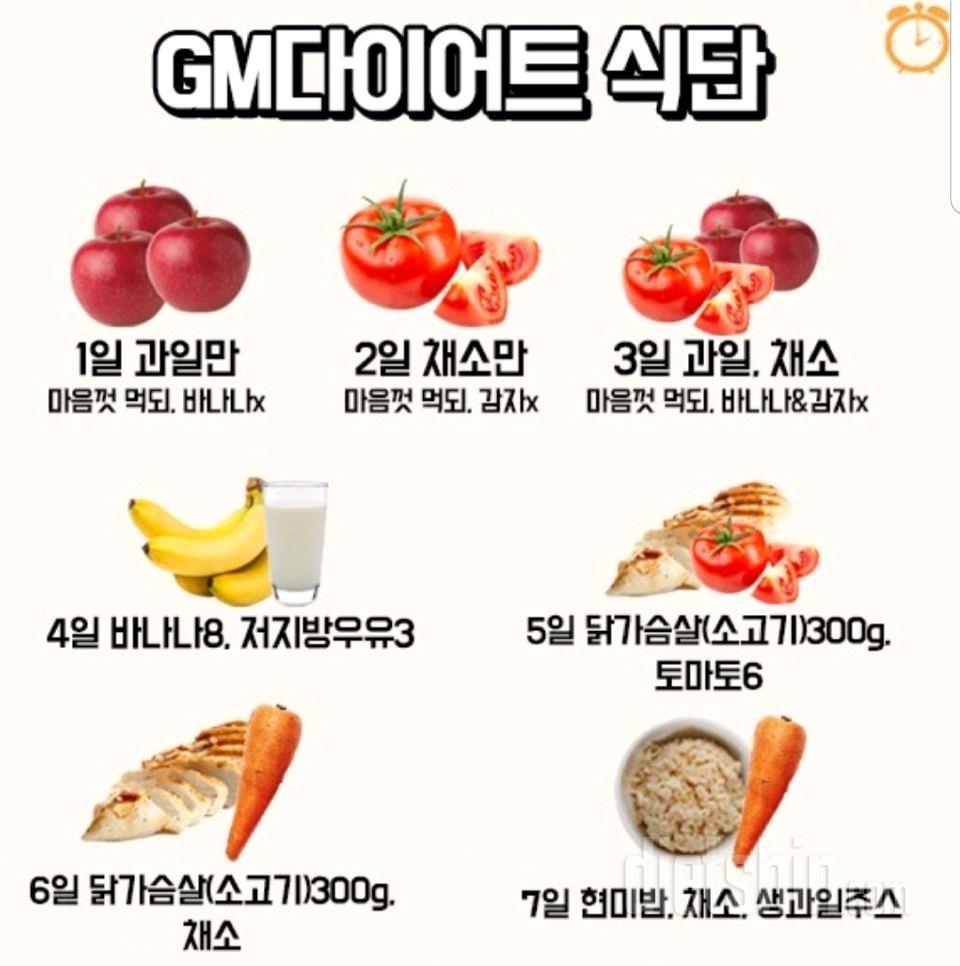 GM 다이어트