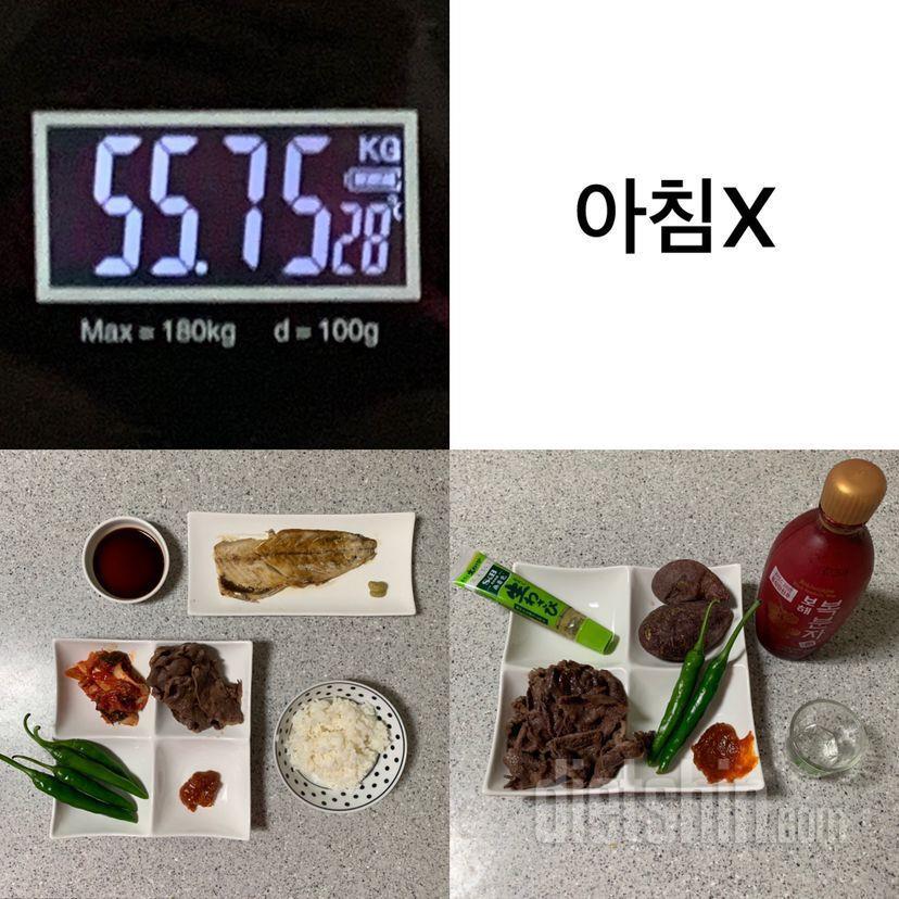 7일,8일차 주말 (-3.05kg)