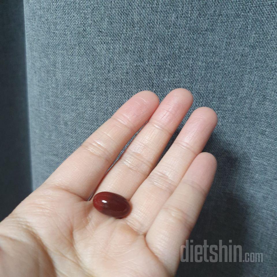 5일째 꾸준히먹고잇는데 뭔가요즘많이먹