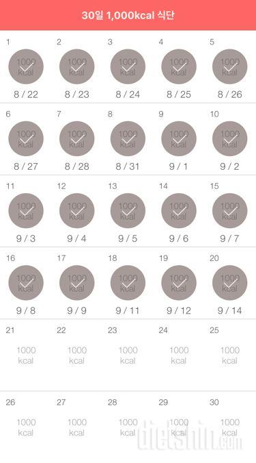 30일 1,000kcal 식단 20일차 성공!