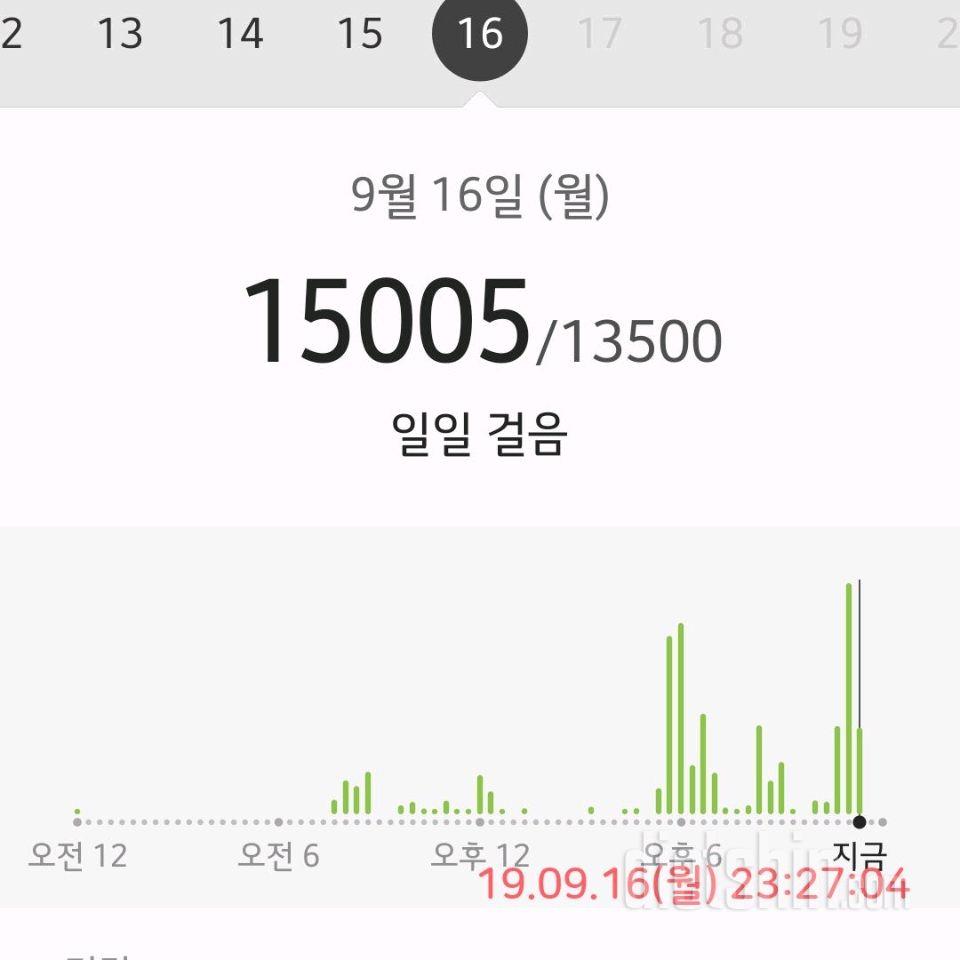 30일 만보 걷기 10일차 성공!