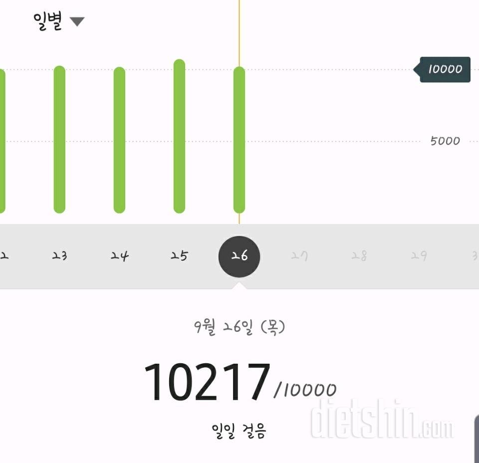 30일 만보 걷기 103일차 성공!