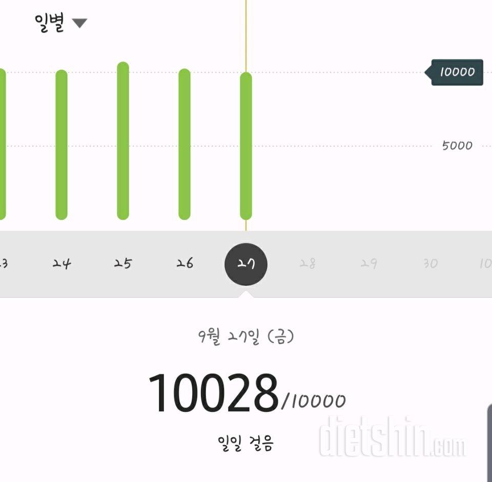 30일 만보 걷기 104일차 성공!