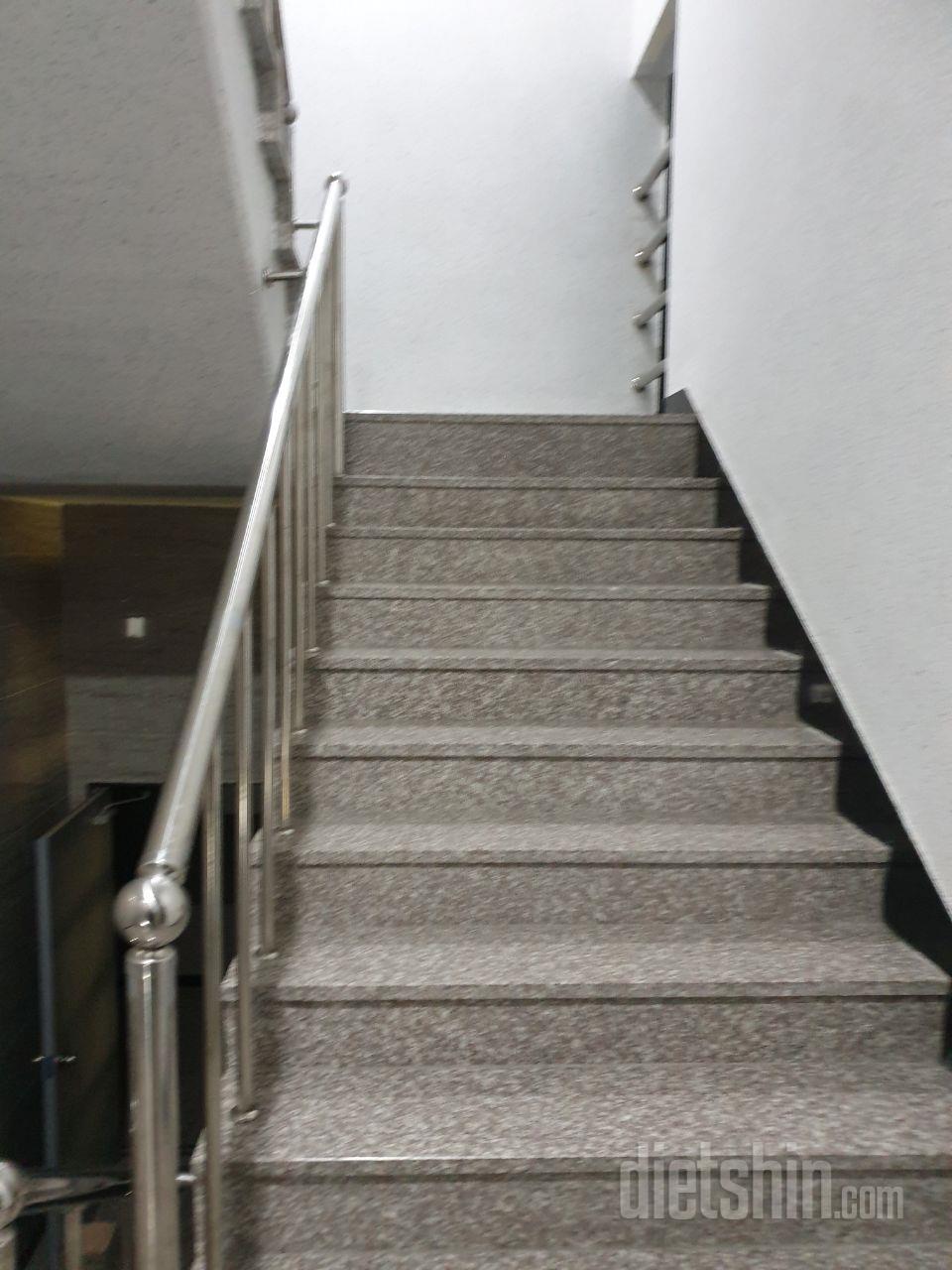 3일차 진행