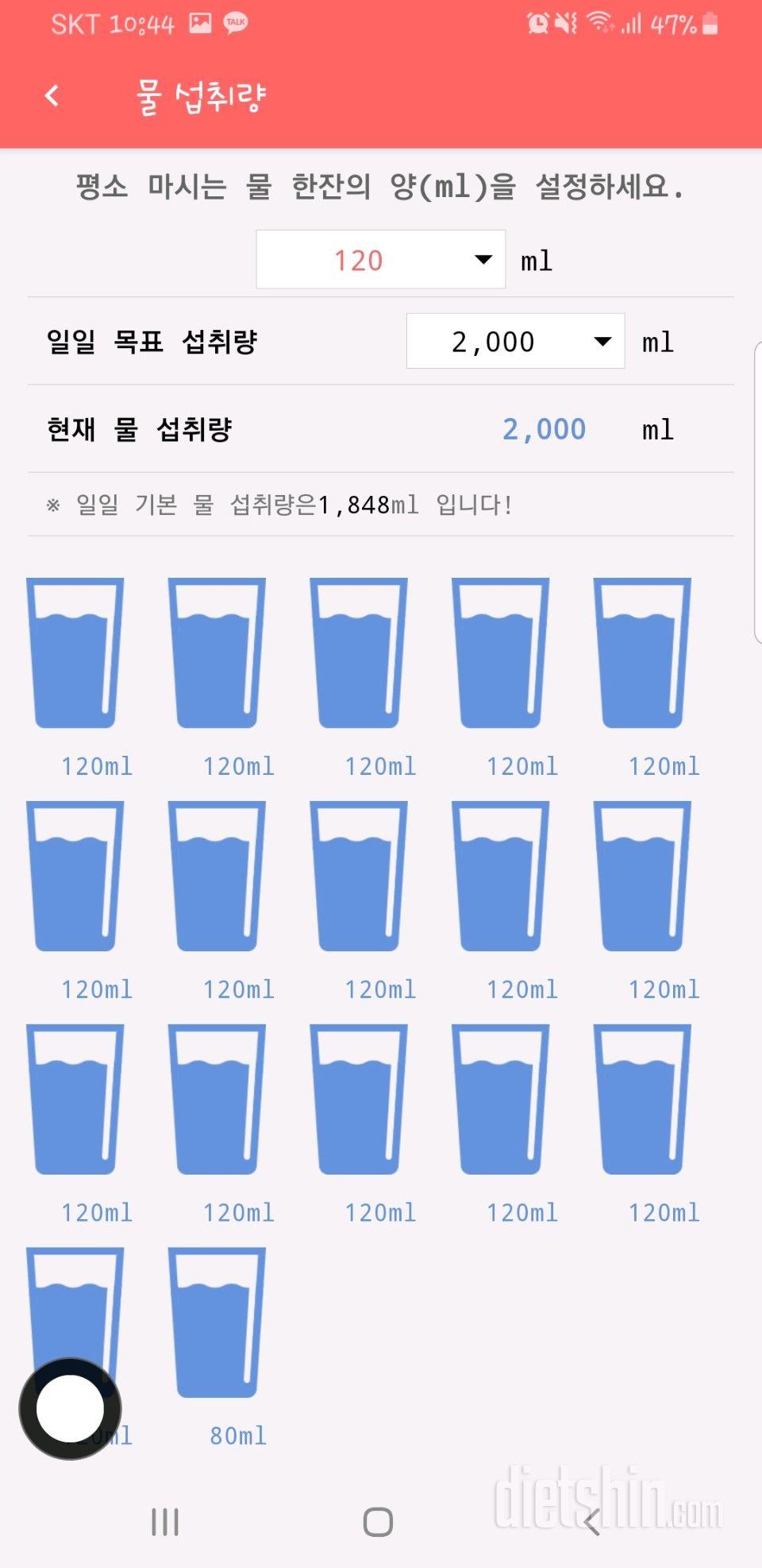 30일 하루 2L 물마시기 41일차 성공!