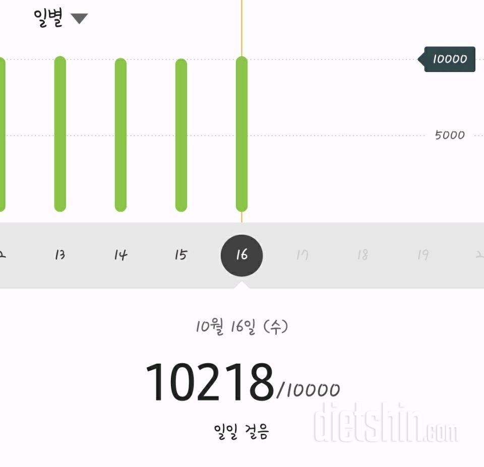 30일 만보 걷기 123일차 성공!