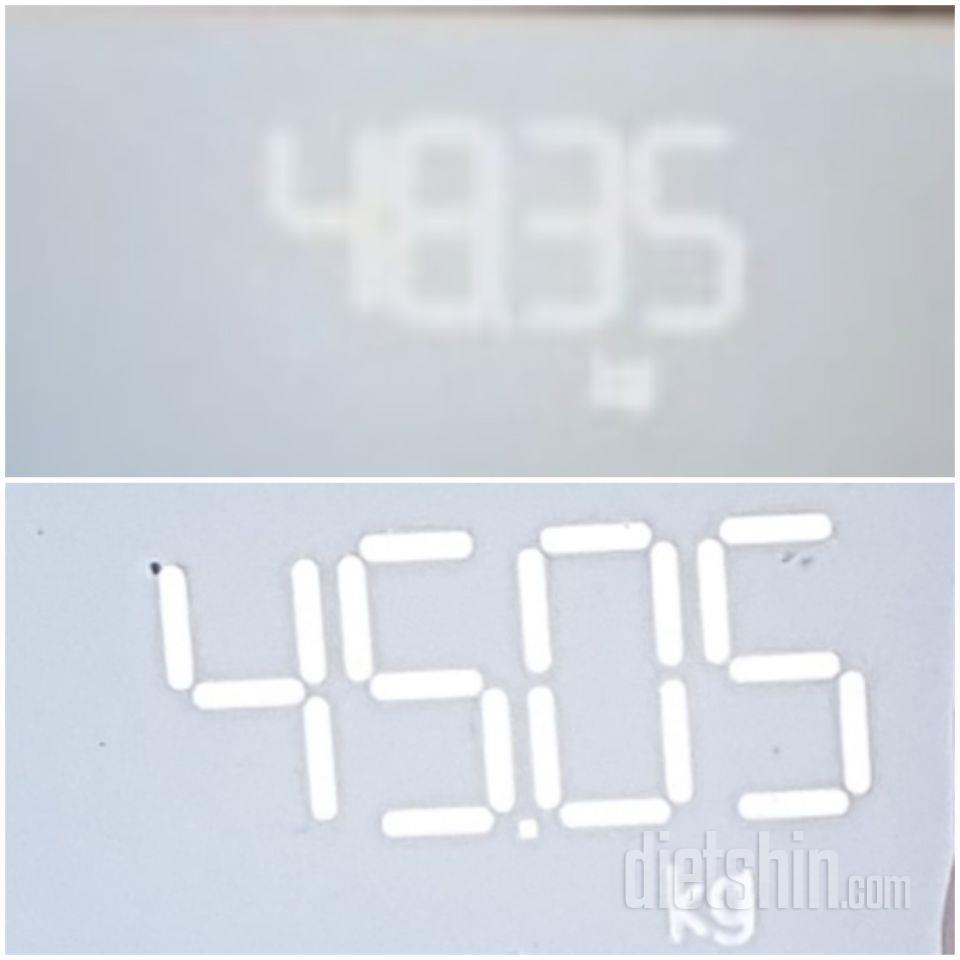 최종후기