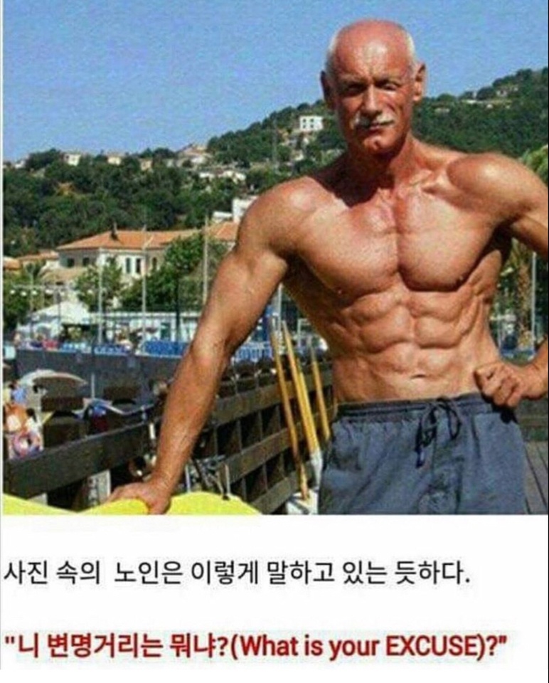 한줄요약 자극사진