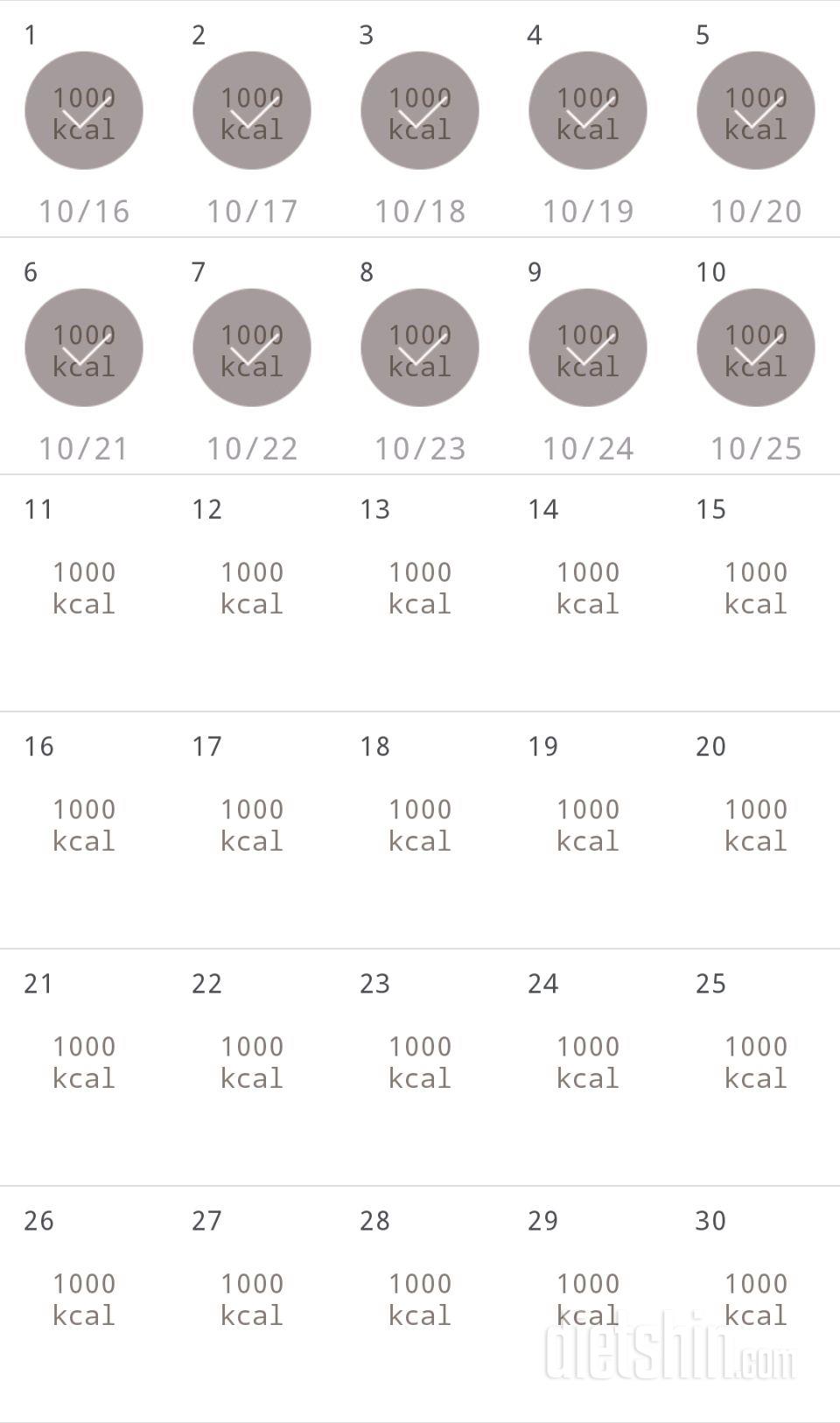 30일 1,000kcal 식단 10일차 성공!