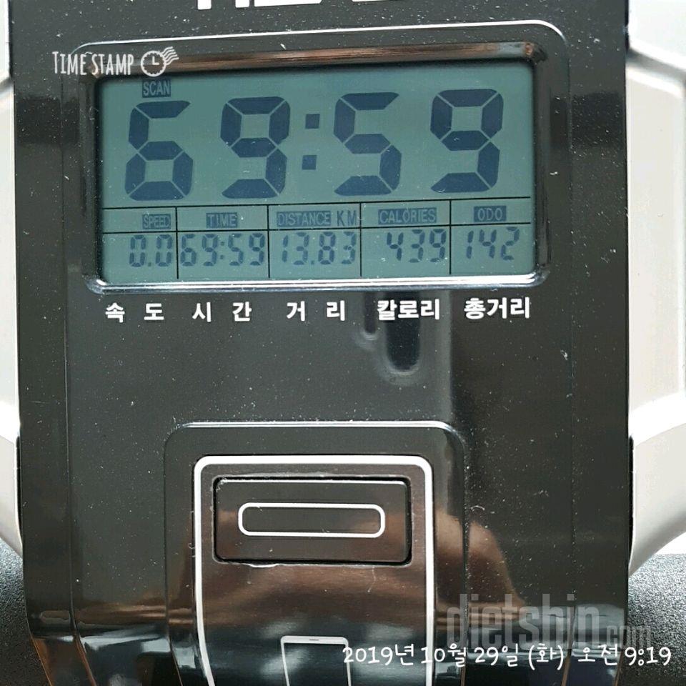 10.29 공복운동 클리어