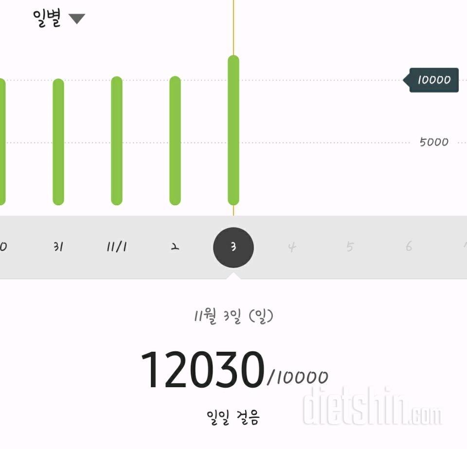 30일 만보 걷기 141일차 성공!