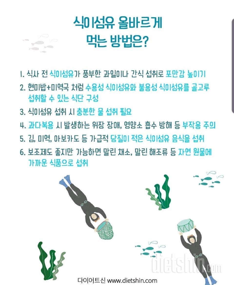 식이섬유