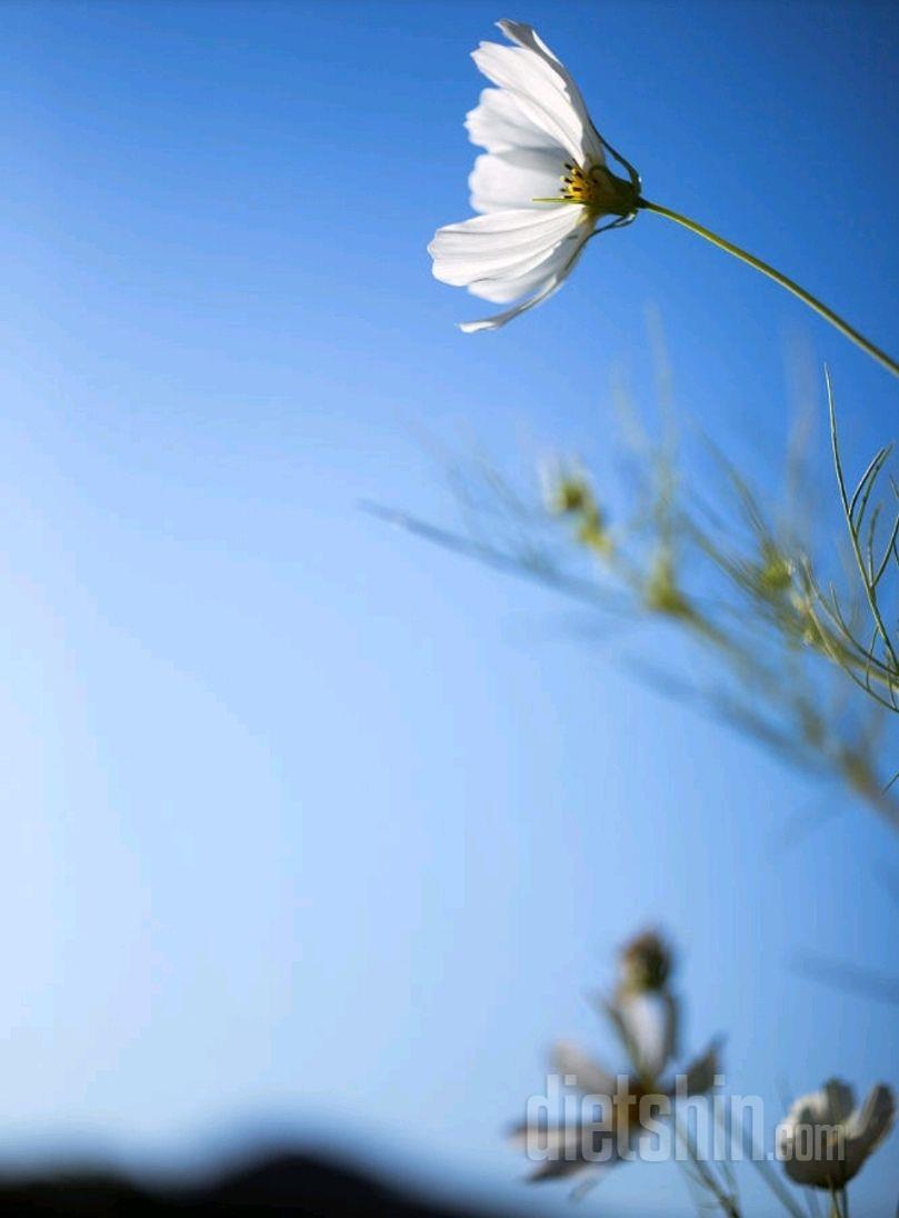 (넋두리)다시 돌아오고나서 맘처럼~.