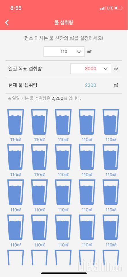 30일 하루 2L 물마시기 61일차 성공!