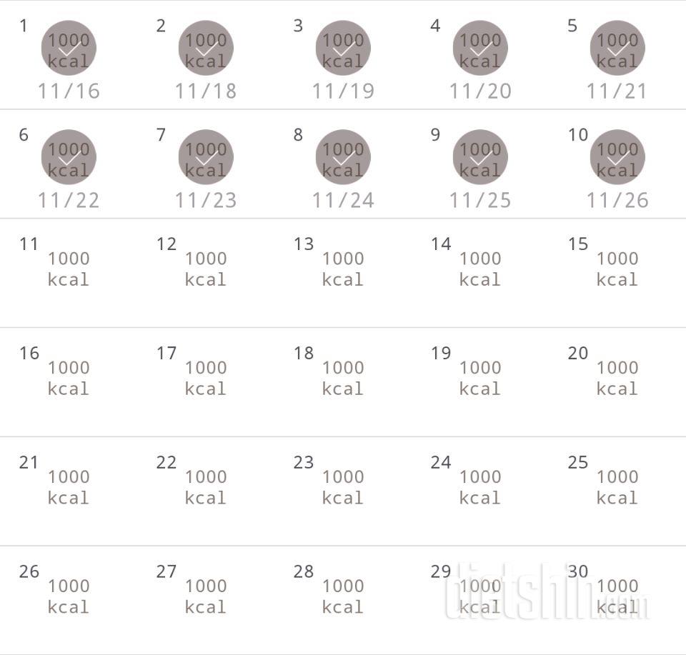 30일 1,000kcal 식단 10일차 성공!