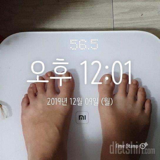 최종후기