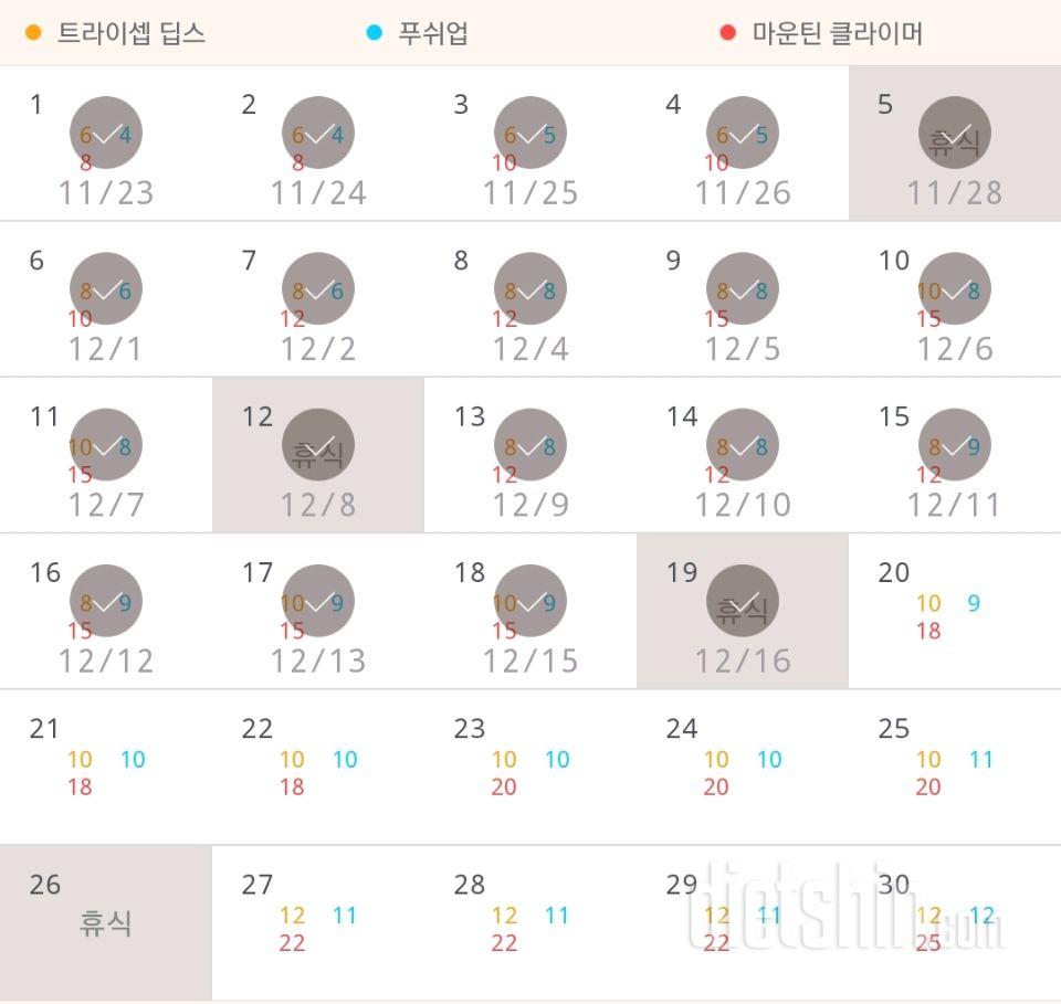 30일 슬림한 팔 19일차 성공!