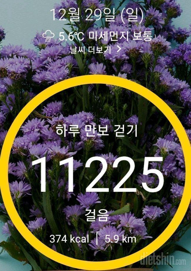 12월29일 일요일(21회차)😥