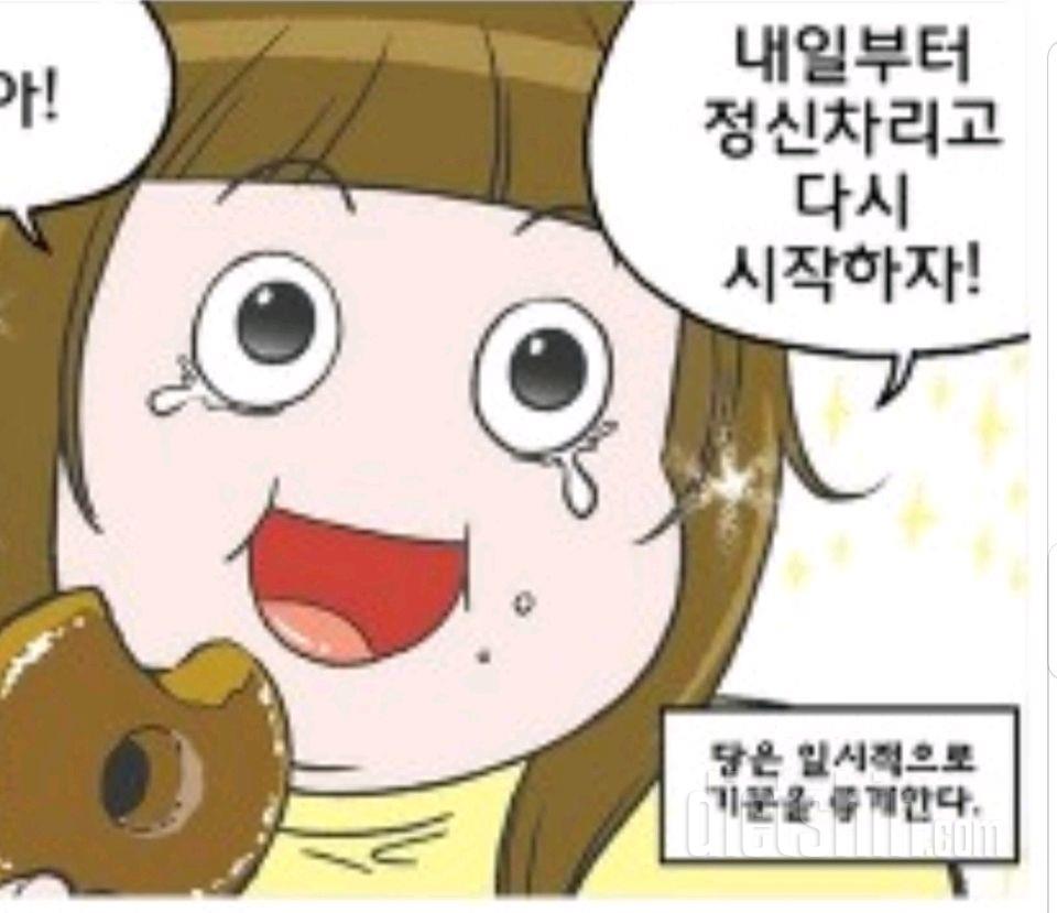 비가와요...