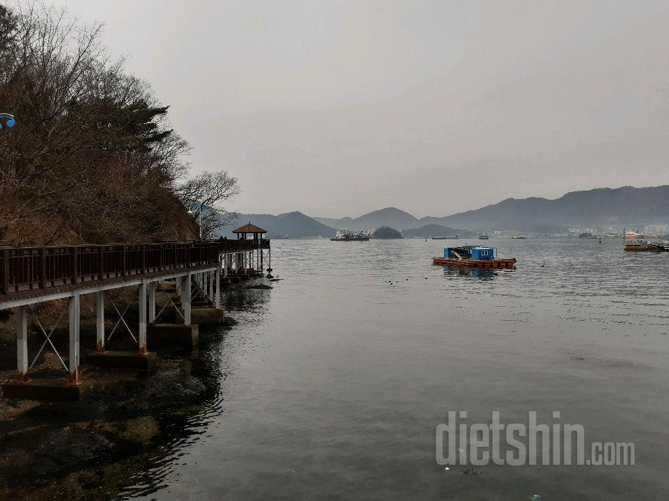 6자는 포기했고 즐기기로