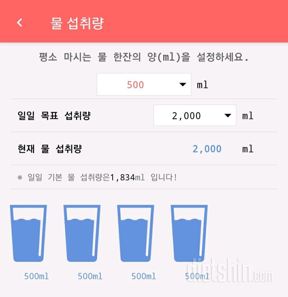 30일 하루 2L 물마시기 5일차 성공!