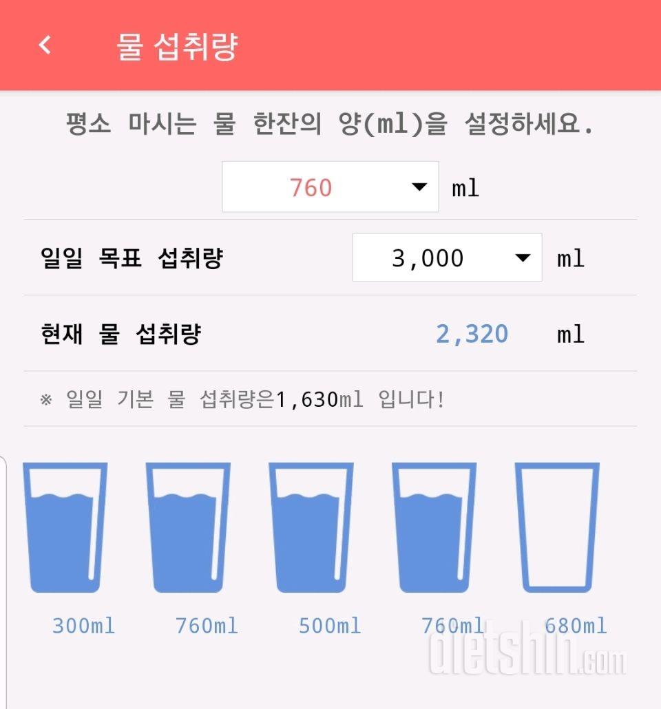 30일 하루 2L 물마시기 333일차 성공!