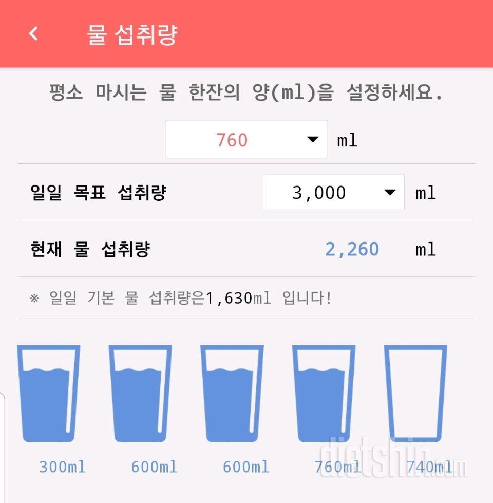 30일 하루 2L 물마시기 335일차 성공!