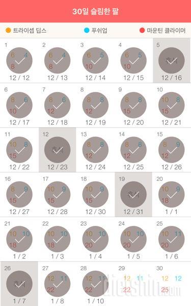 30일 슬림한 팔 28일차 성공!