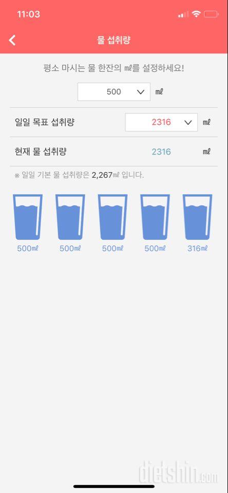 30일 하루 2L 물마시기 10일차 성공!