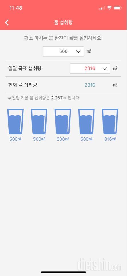 30일 하루 2L 물마시기 11일차 성공!